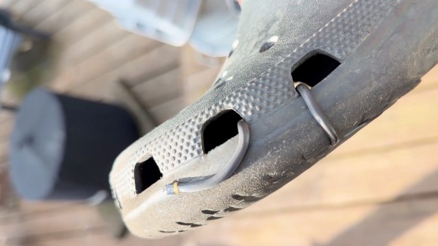Virginia parent dismisses son's 'snake in my shoe' comment, then finds ringneck inside