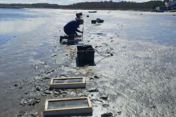 A person kneels by the water's edge, working with equipment on the muddy shoreline.