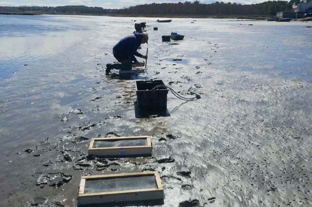 A person kneels by the water's edge, working with equipment on the muddy shoreline.