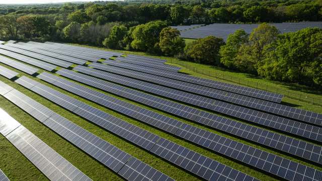 A solar farm with rows of solar panels on grassy land surrounded by trees.