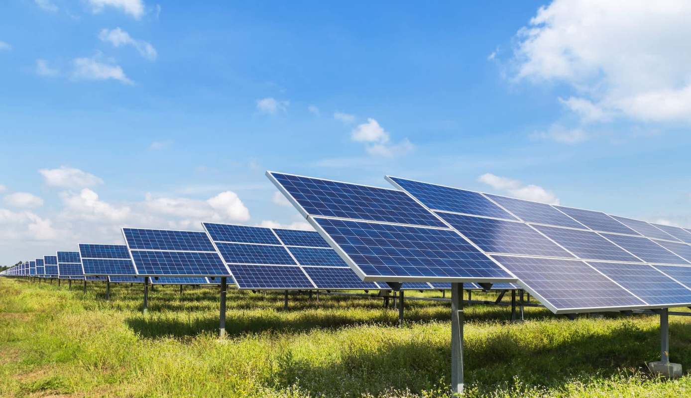 A field of solar panels under a clear blue sky.