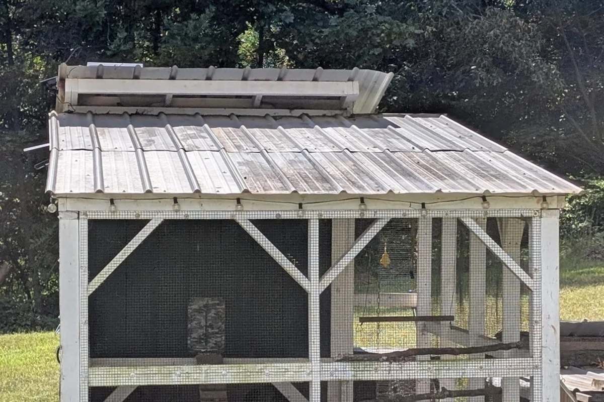 A wooden birdhouse with a slanted metal roof and wire mesh sides, surrounded by greenery.