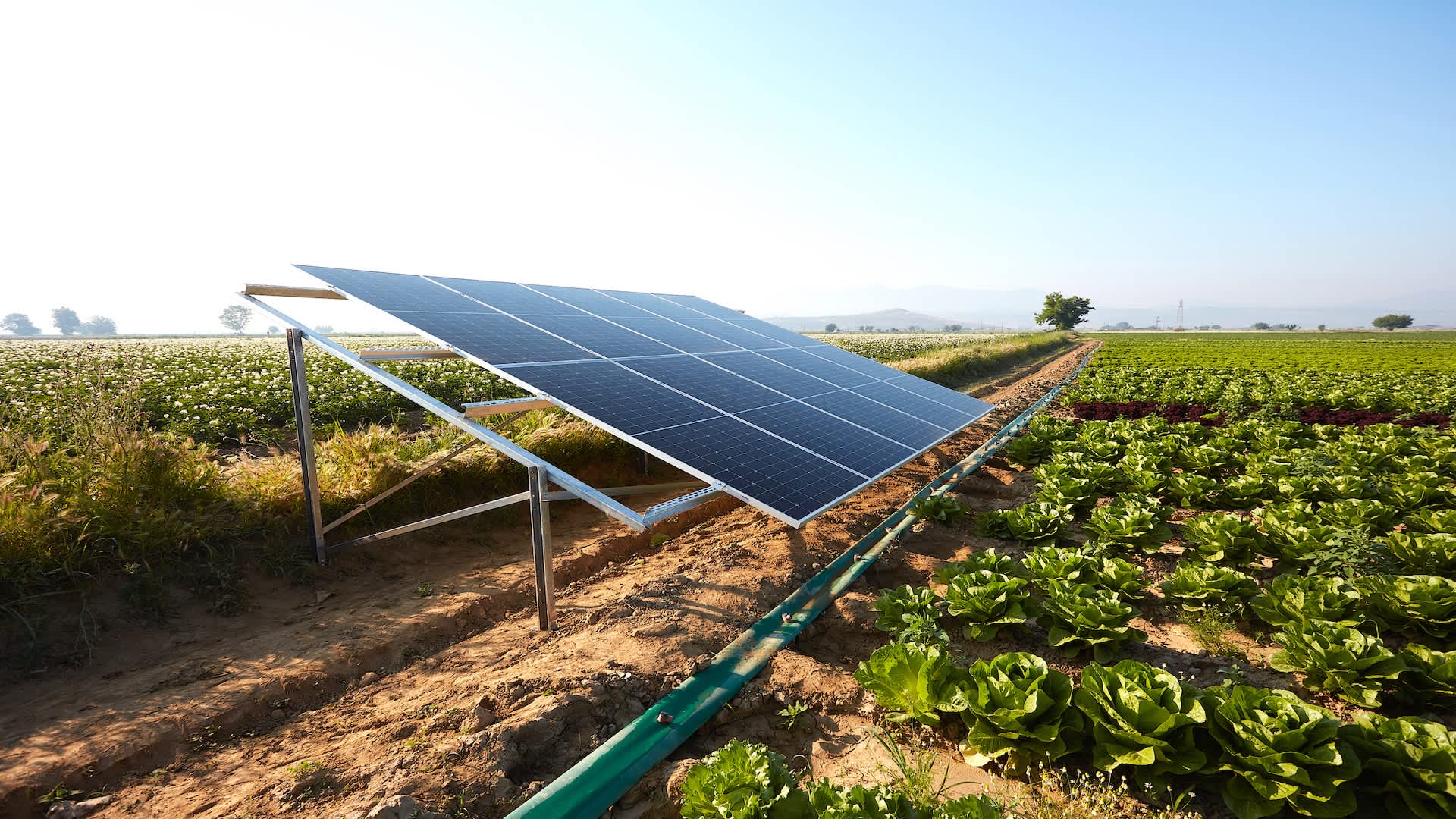 Maryland county weighs 21 solar projects on 651 acres of farmland, says bonds protect taxpayers