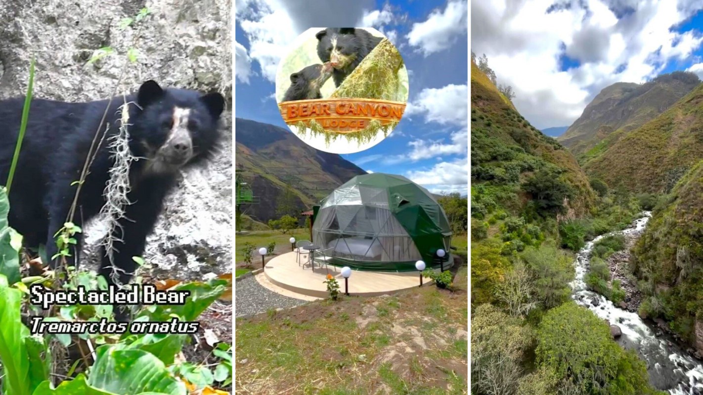 A spectacled bear near a rock, a dome-shaped lodge, and a river flowing through hilly terrain under a cloudy sky.