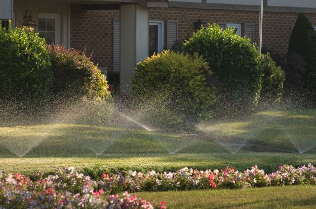 Lawn sprinklers.