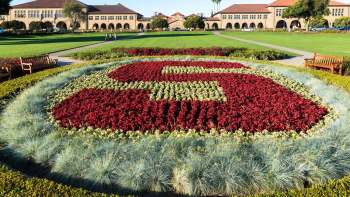 A flowerbed arranged in the shape of the Stanford University logo, with a lawn and buildings in the background.