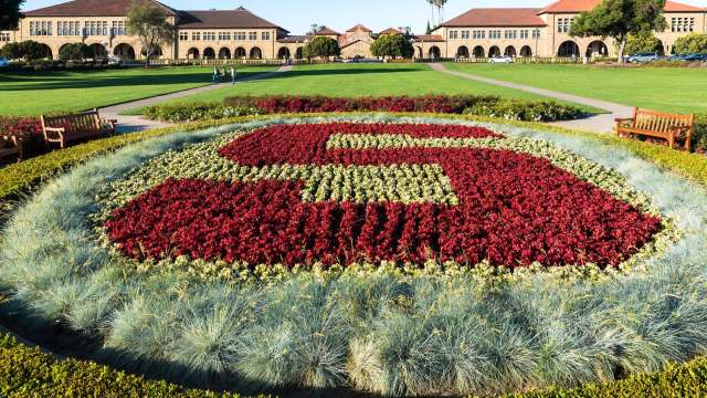 A flowerbed arranged in the shape of the Stanford University logo, with a lawn and buildings in the background.