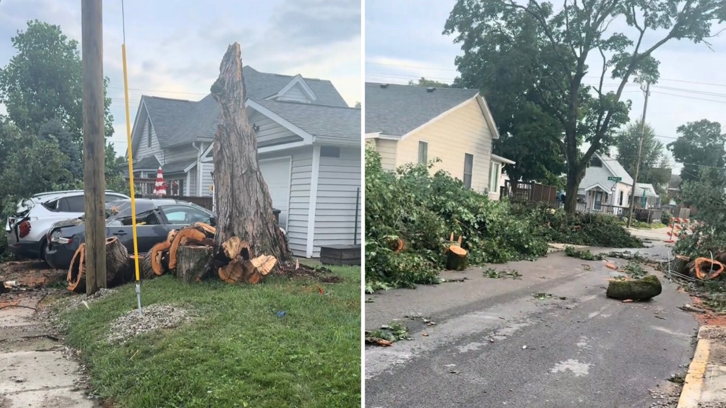 A downed tree with debris blocking a road and damaged vehicles parked nearby.