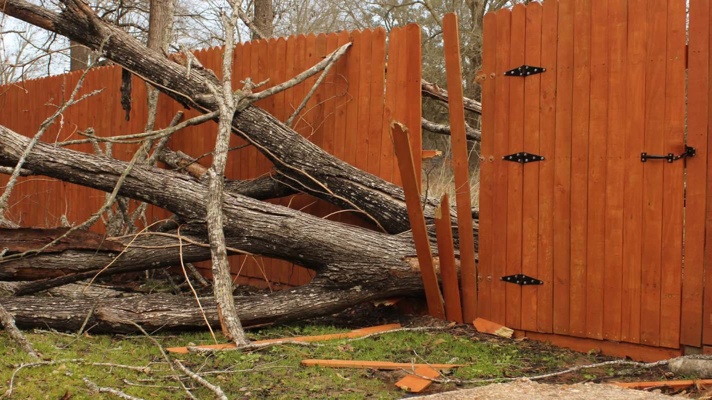 A fallen tree partially blocks a wooden fence and gate, with scattered debris on the ground.