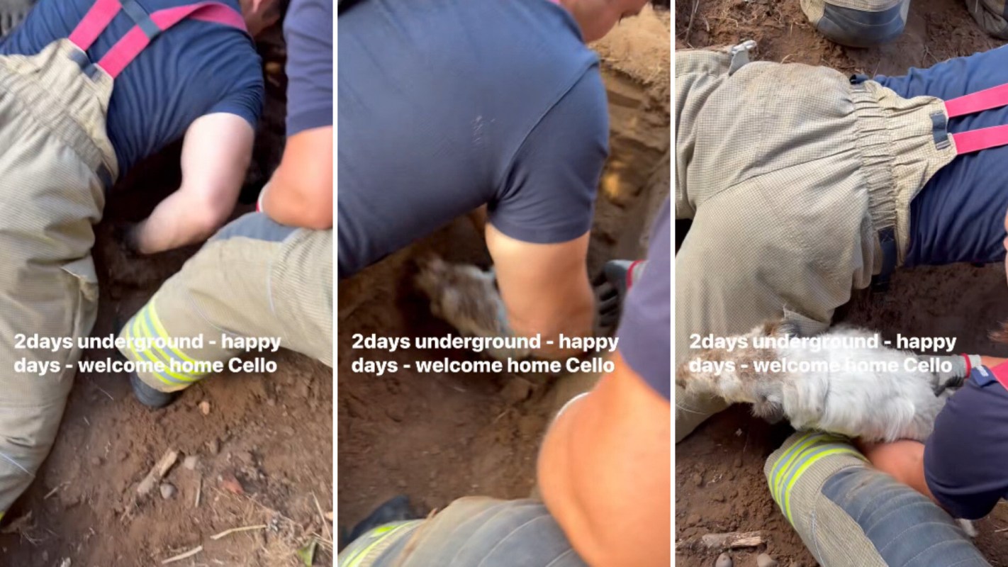 Two people dig in the ground to rescue a small dog.