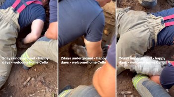 Two people dig in the ground to rescue a small dog.