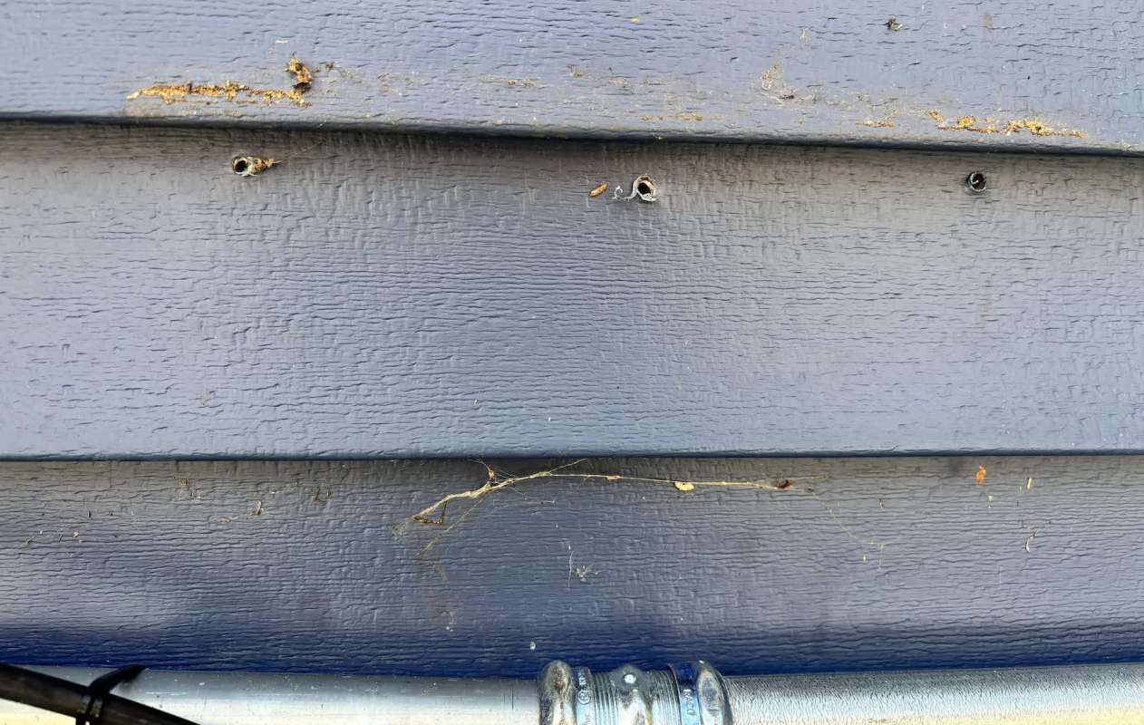 A blue house siding with two small holes and some dirt or debris near a metal pipe.