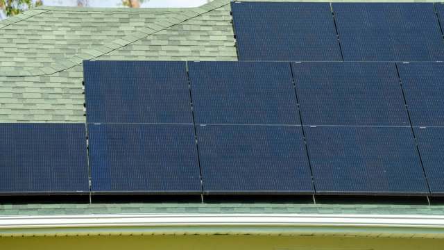 Solar panels installed on a green shingle roof.