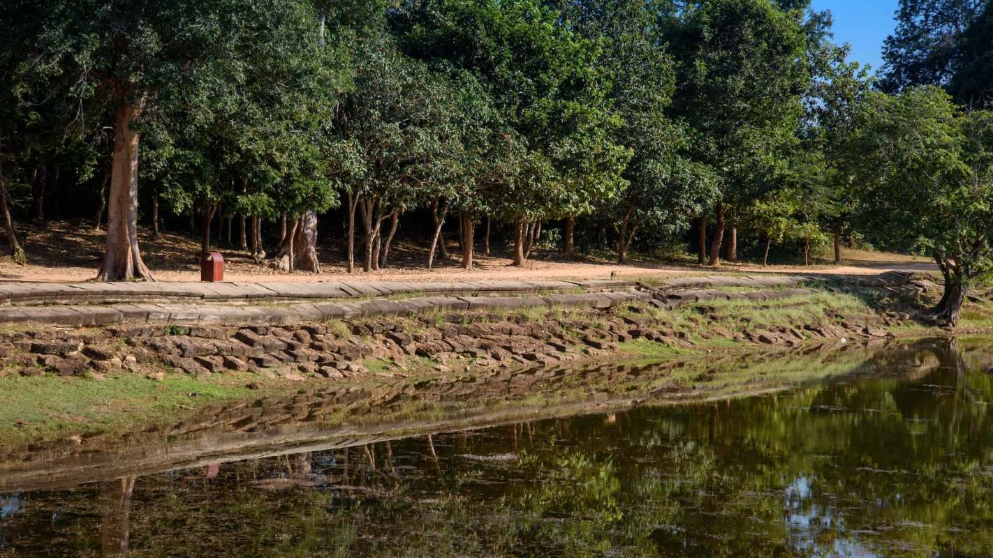 A serene landscape featuring a forested area next to a calm body of water.