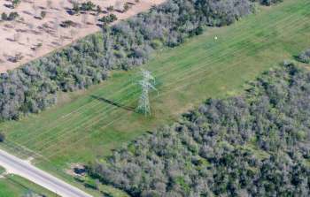 A power line tower stands in a grassy area bordered by trees and an empty road.