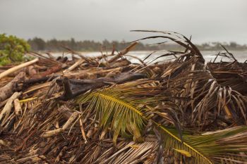 Damage from a tropical storm in Hawai'i.