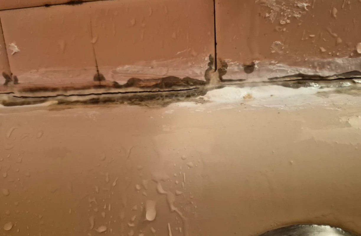 A damaged bathroom wall with mold and water damage at the tile joint.