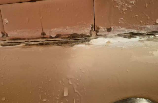 A damaged bathroom wall with mold and water damage at the tile joint.