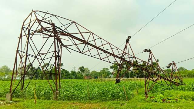A toppled power transmission tower next to a field of green plants.