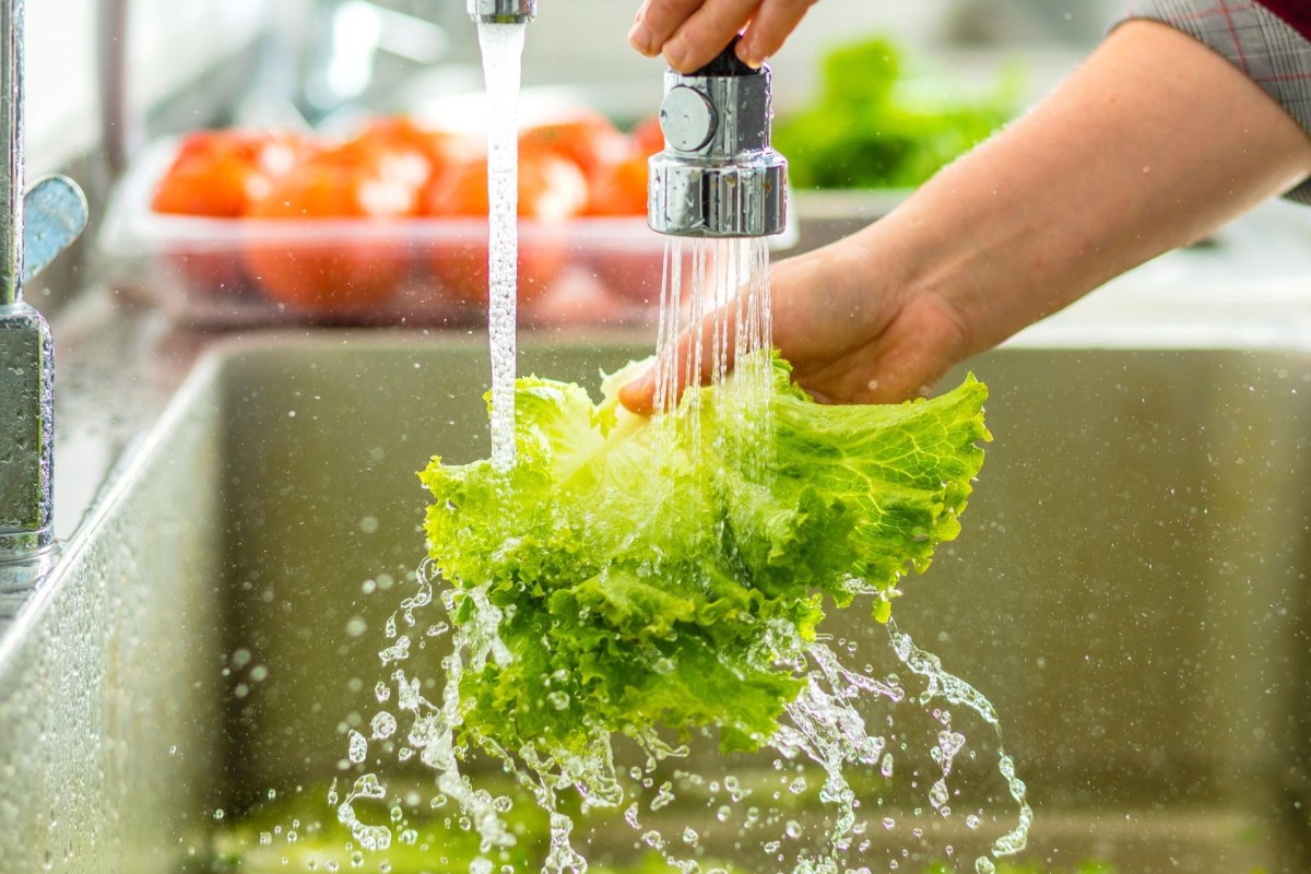A person washing lettuce.