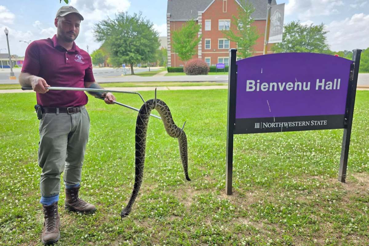 A person holding a snake with a sign for Bienvenu Hall in the background.