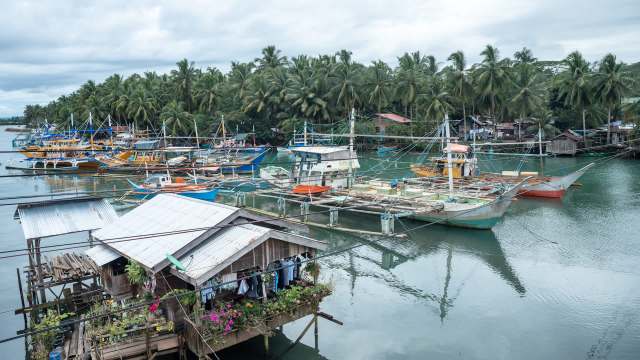 Fishing boats are moored in a calm bay surrounded by palm trees and wooden structures.