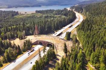 A highway with animal crossing tunnels surrounded by dense forest and a lake in the background.