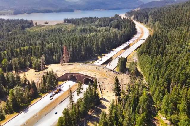 A highway with animal crossing tunnels surrounded by dense forest and a lake in the background.