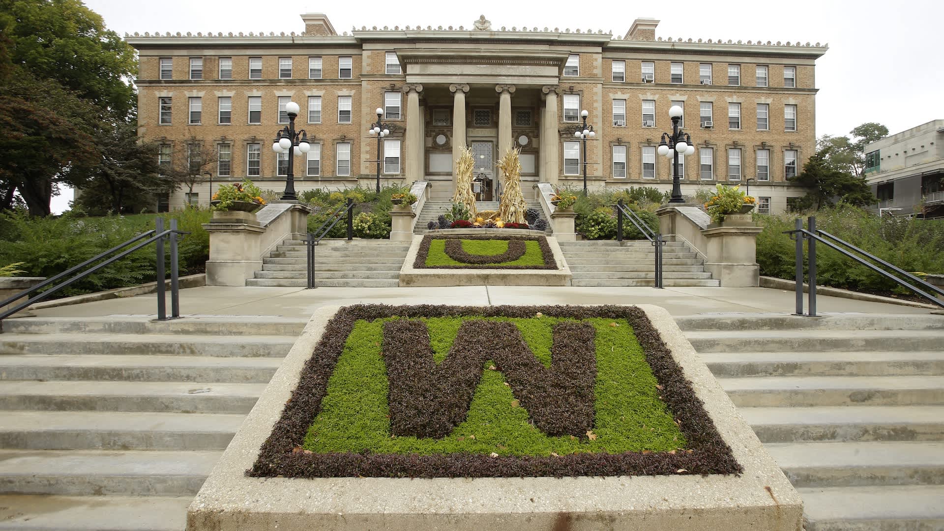 Wisconsin professor caught 60 AI essays with hidden prompts, now he's dropping writing assignments