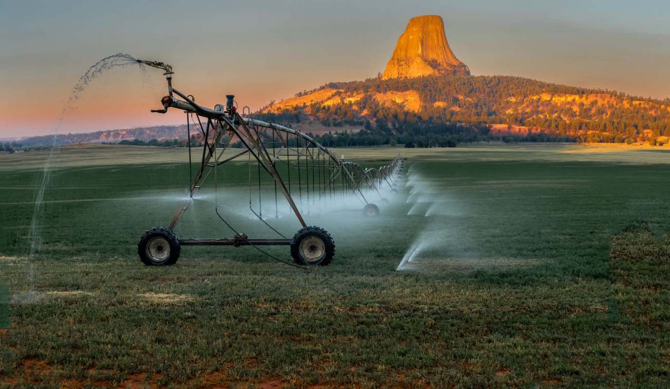 An irrigation system.