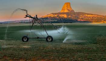 An irrigation system.