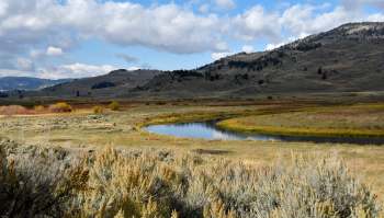 A river winds through a grassy landscape with hills and scattered trees under a partly cloudy sky.