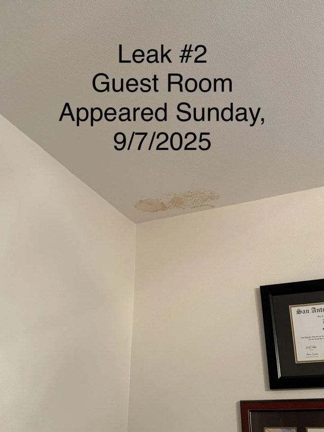 Water stains on a ceiling. 
