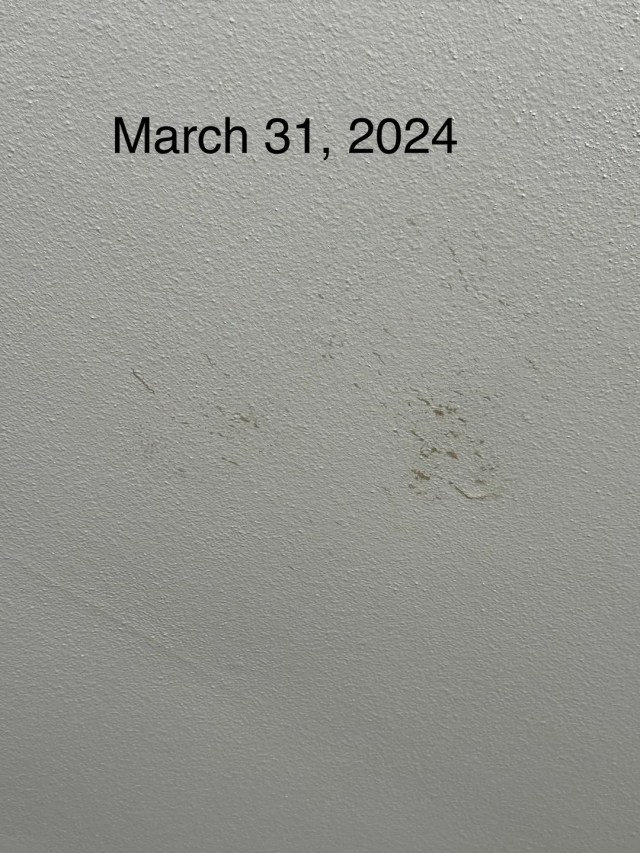 Water stains on a ceiling. 