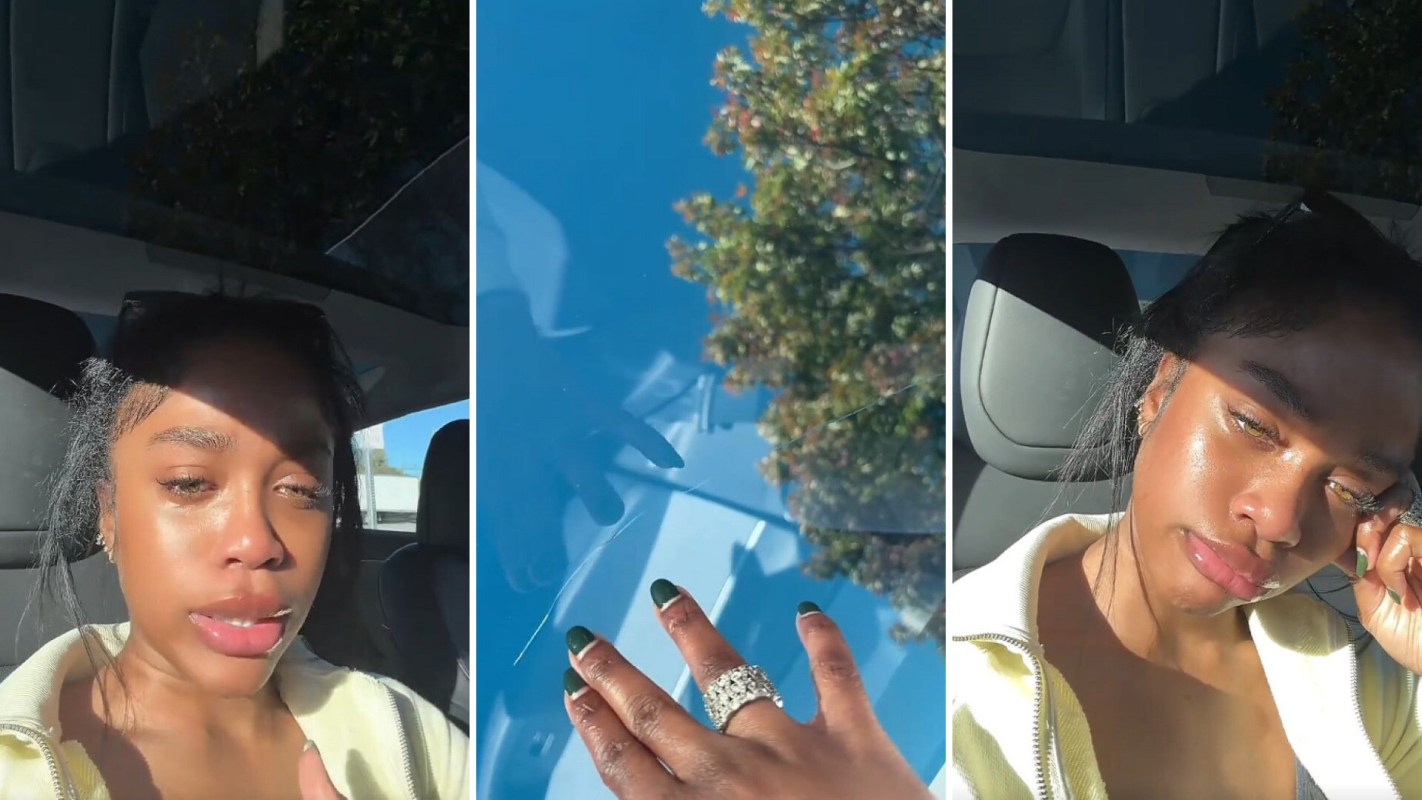 A Tesla buyer discussing a crack in her windshield.