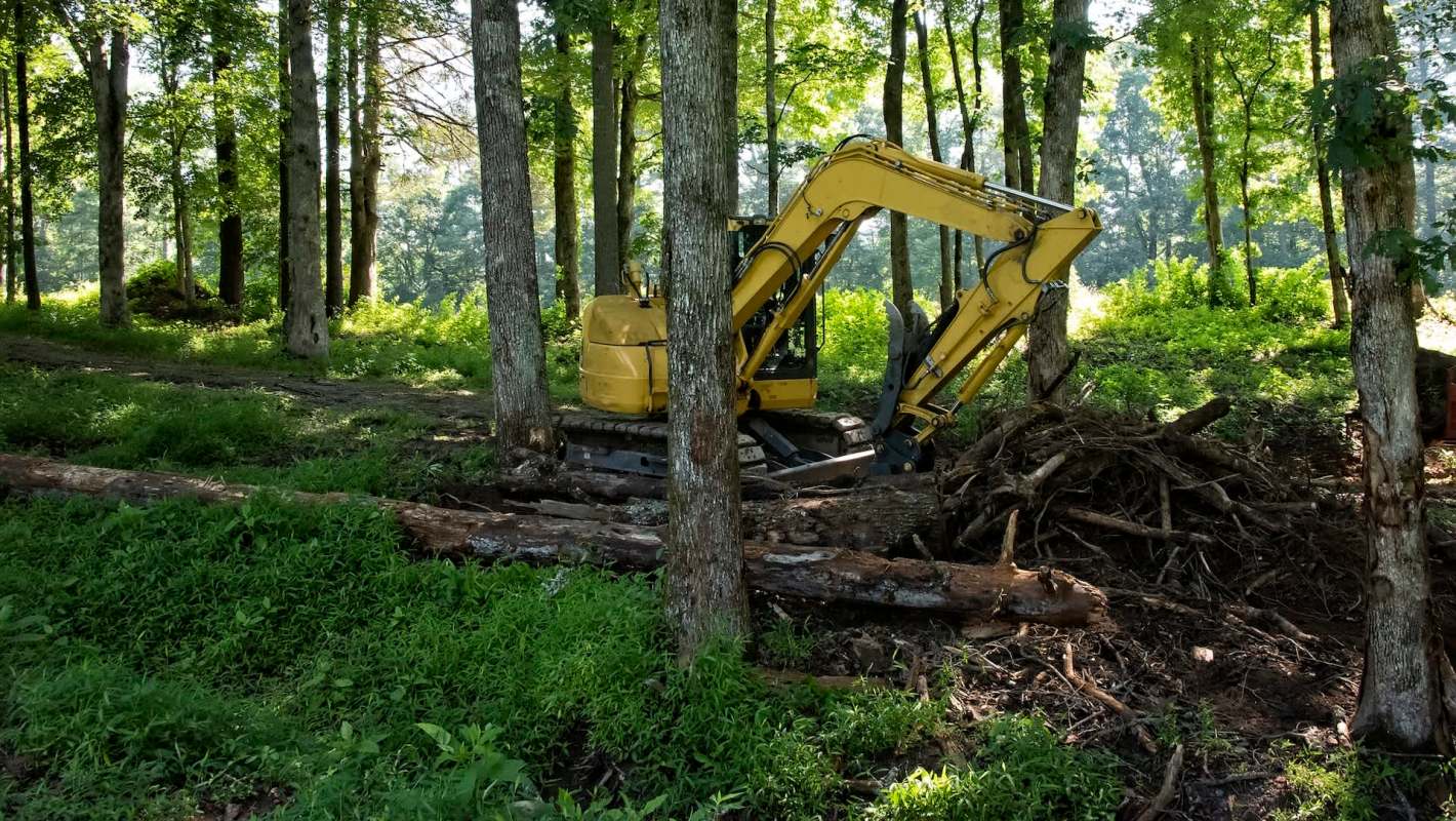 A yellow excavator is working among trees in a wooded area.