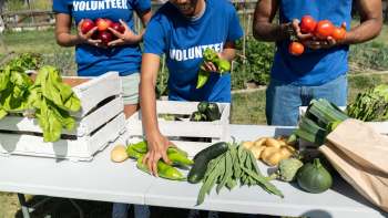 Volunteers sorting and holding fresh vegetables and fruits on a table in a community garden.