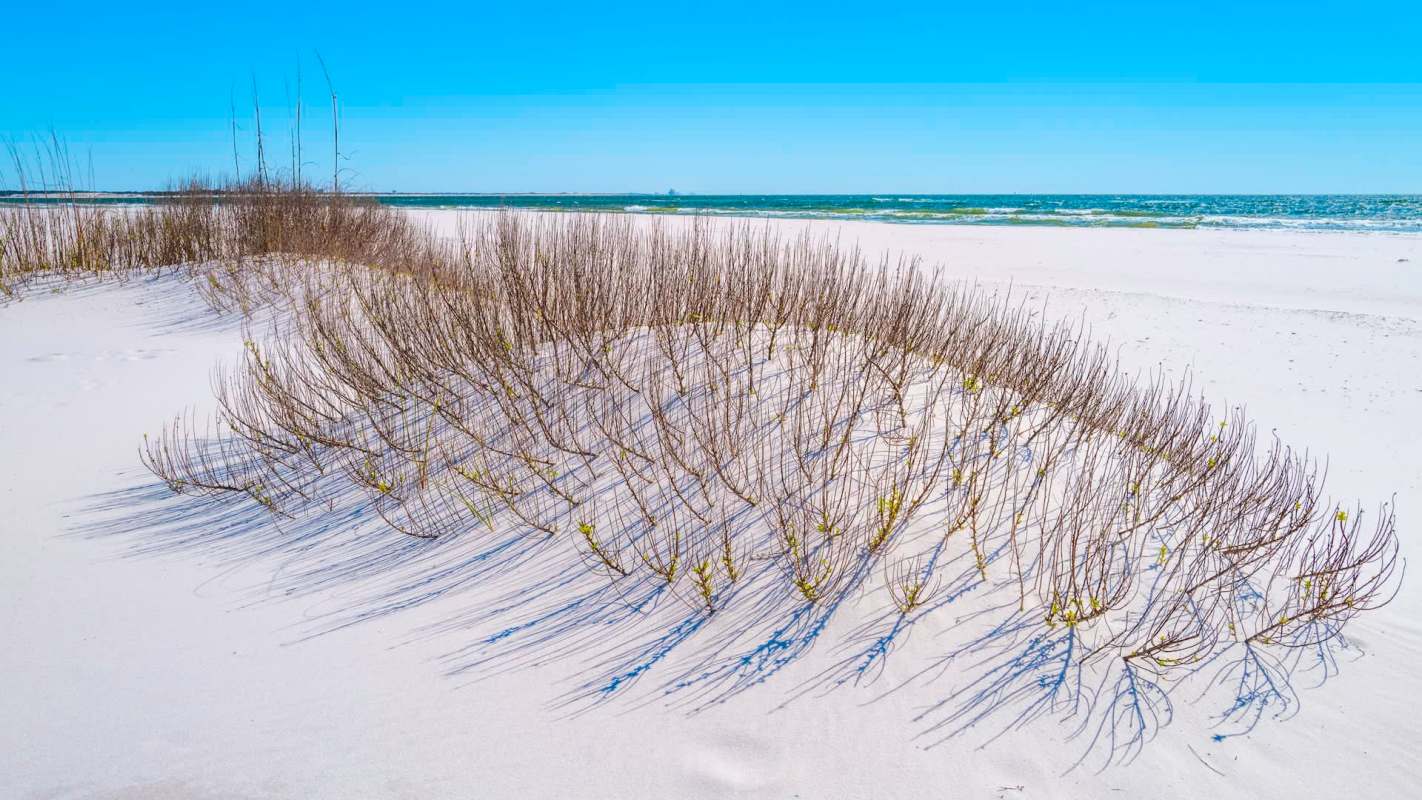 A beach.