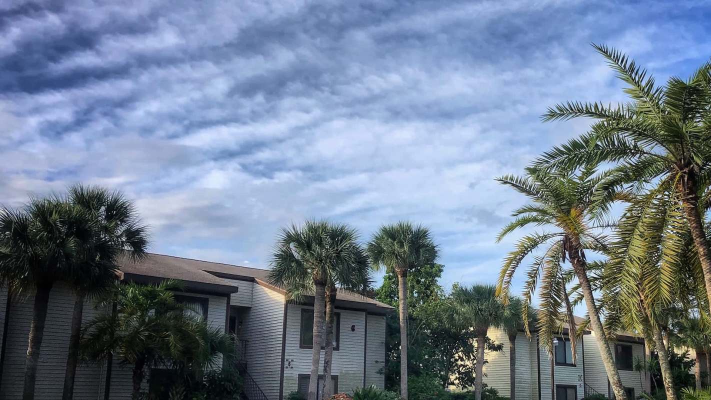 A view of buildings surrounded by palm trees under a cloudy sky.