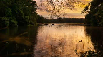 Lake Hartwell.