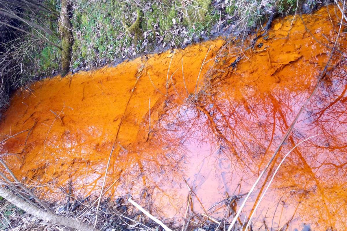 An orange, murky stream with reflections of trees and branches on its surface.