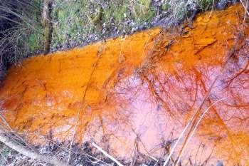 An orange, murky stream with reflections of trees and branches on its surface.