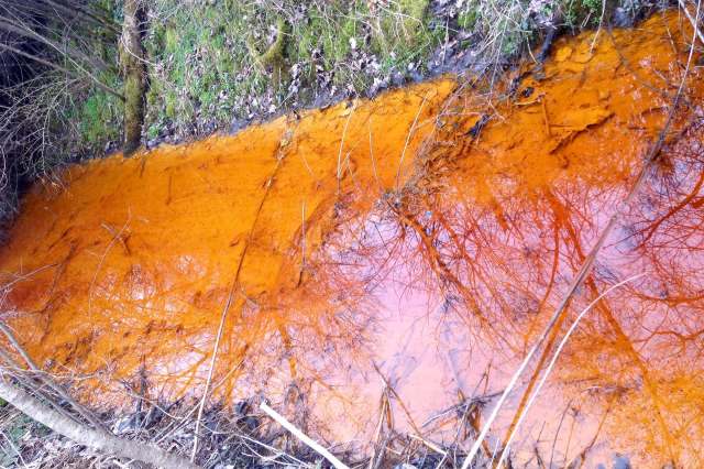 An orange, murky stream with reflections of trees and branches on its surface.