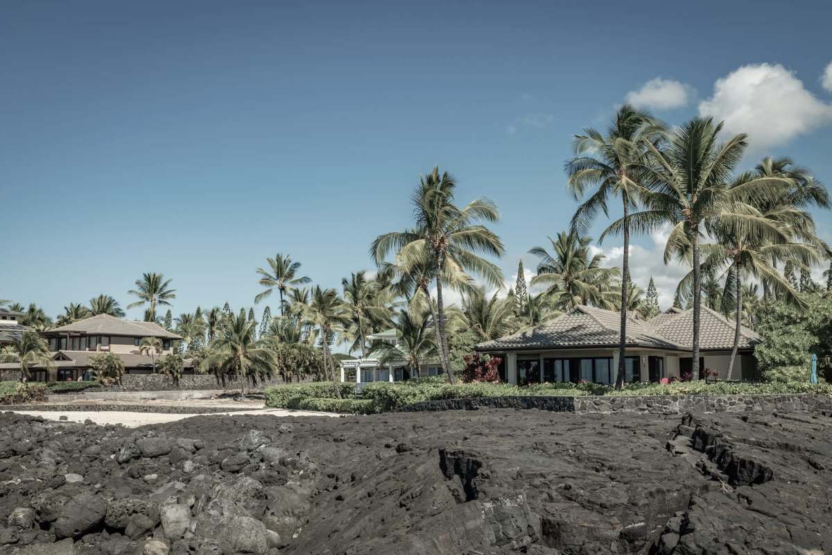 A beachside scene featuring houses surrounded by palm trees and rocky terrain.