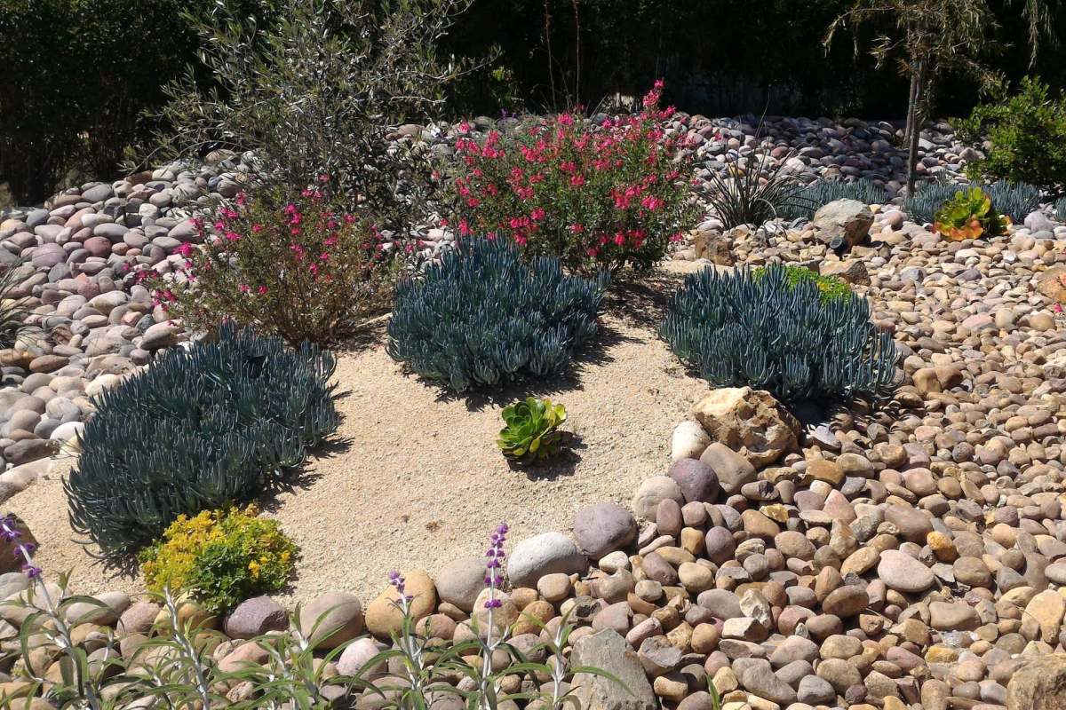 A xeriscaped yard.