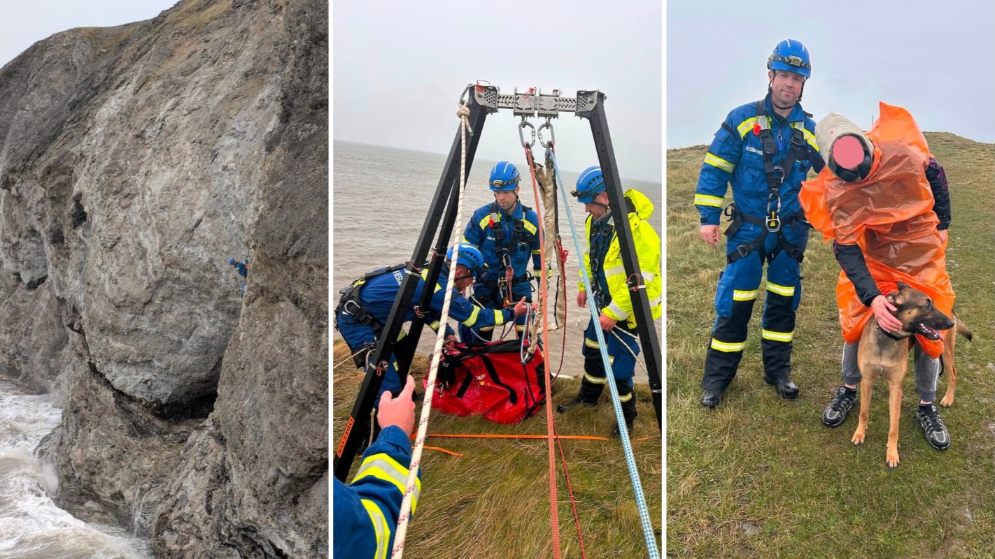 A team rescues a person and a dog.