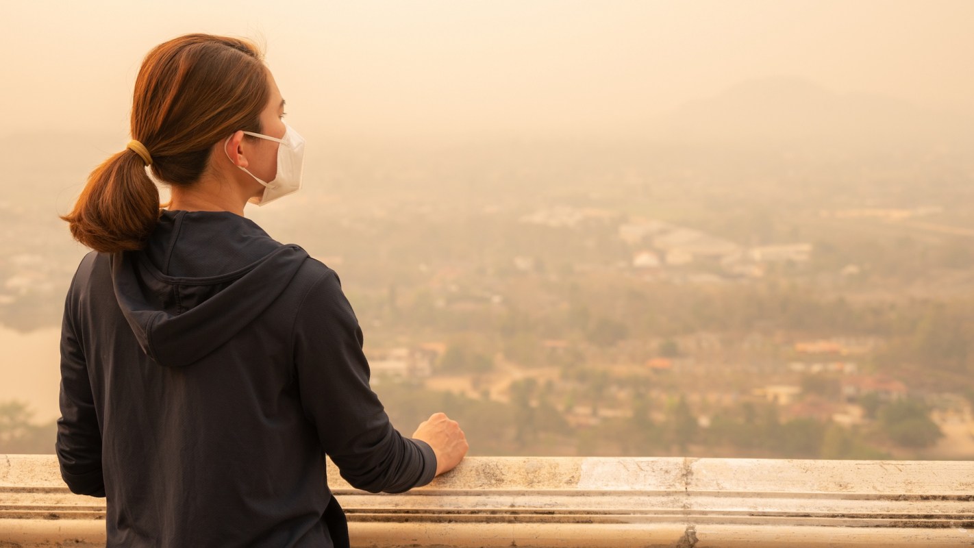 A person wearing a mask looks out over a hazy landscape from a raised viewpoint.
