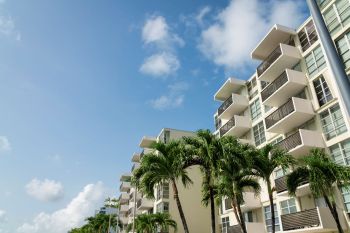 Palm trees in front of an apartment building.