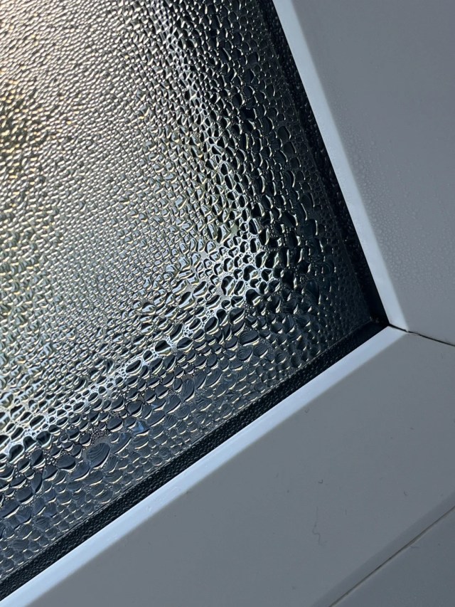 Condensation droplets on a window.
