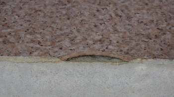 A cracked asbestos tile where a patterned slab meets a concrete base.